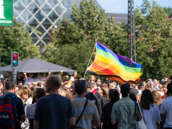 Pourquoi choisir le panneau solaire photovoltaïque ?